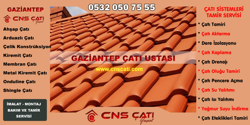 CNS Çatı Sistemleri